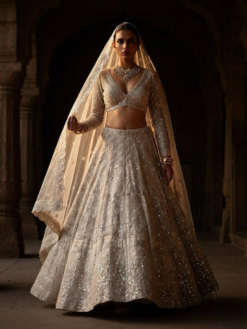 Embroidery Net  Lehenga